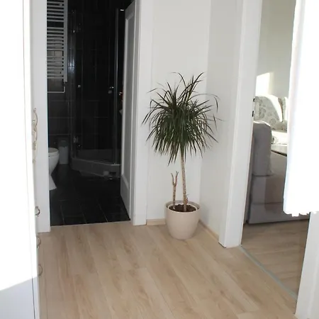 Rooftop Apartment Belgrad Dış mekan fotoğraf